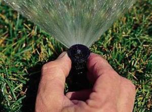 we adjust every sprinkler head in Renton by hand