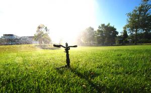 rotor sprinkler installed by our Renton Wa sprinkler repair team